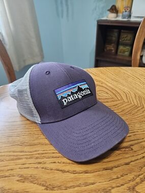 Patagonia P-6 Logo LoPro Trucker Hat Snap Back Gray